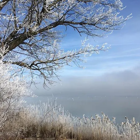 Dausacker Apartament *